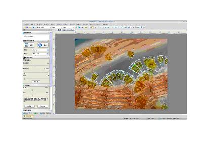 显微图像分析软件